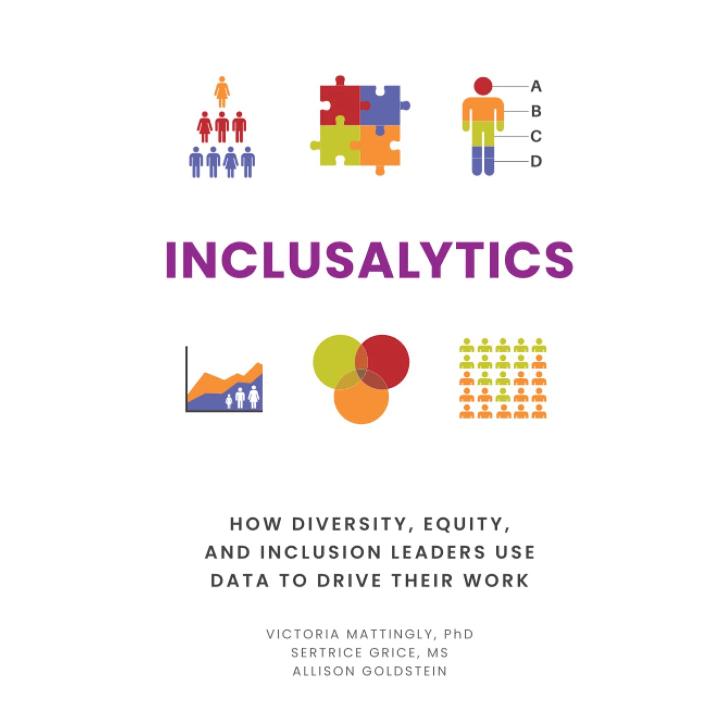 Inclusalytics: How Diversity, Equity, and Inclusion Leaders Use Data to Drive Their Work Hardcover