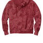 Champion Reverse Weave Scrunch-Dye Tie-Dye Hooded Sweatshirt | Mulled Berry