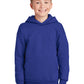Hanes - Youth EcoSmart Pullover Hooded Sweatshirt P470