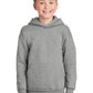 Hanes - Youth EcoSmart Pullover Hooded Sweatshirt P470