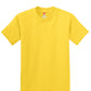 Hanes - Youth Authentic 100% Cotton T-Shirt 5450
