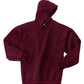 Hanes Ultimate Cotton - Pullover Hooded Sweatshirt F170